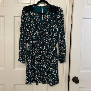 Express Floral Dress